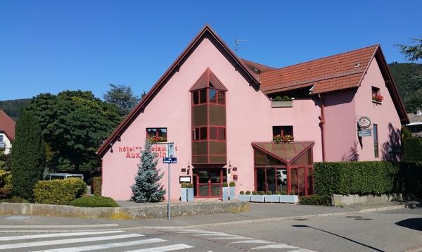 Hotel Restaurant Aux Sapins Thann Exteriér fotografie